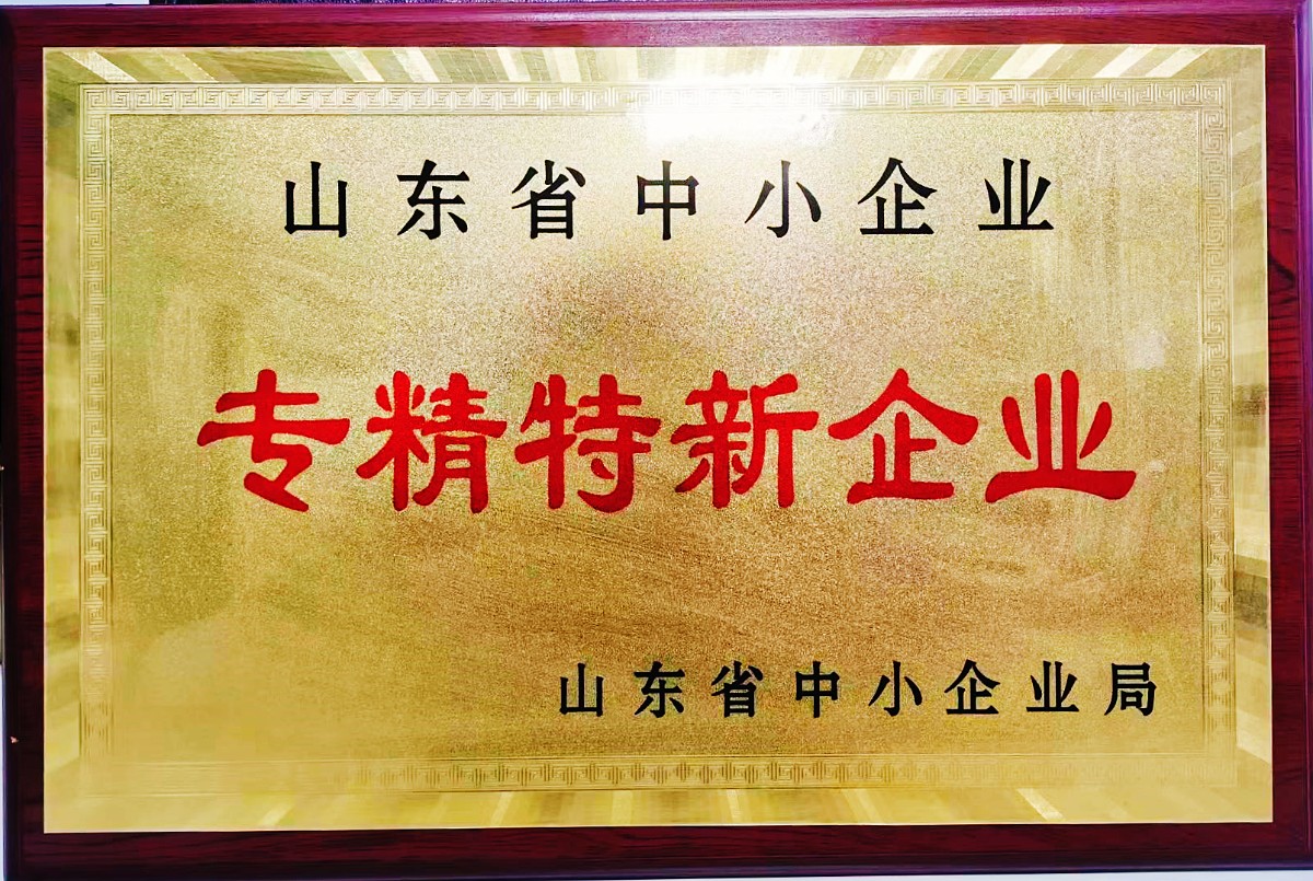 山東省“專精特新”中小企業(yè)_副本.jpg